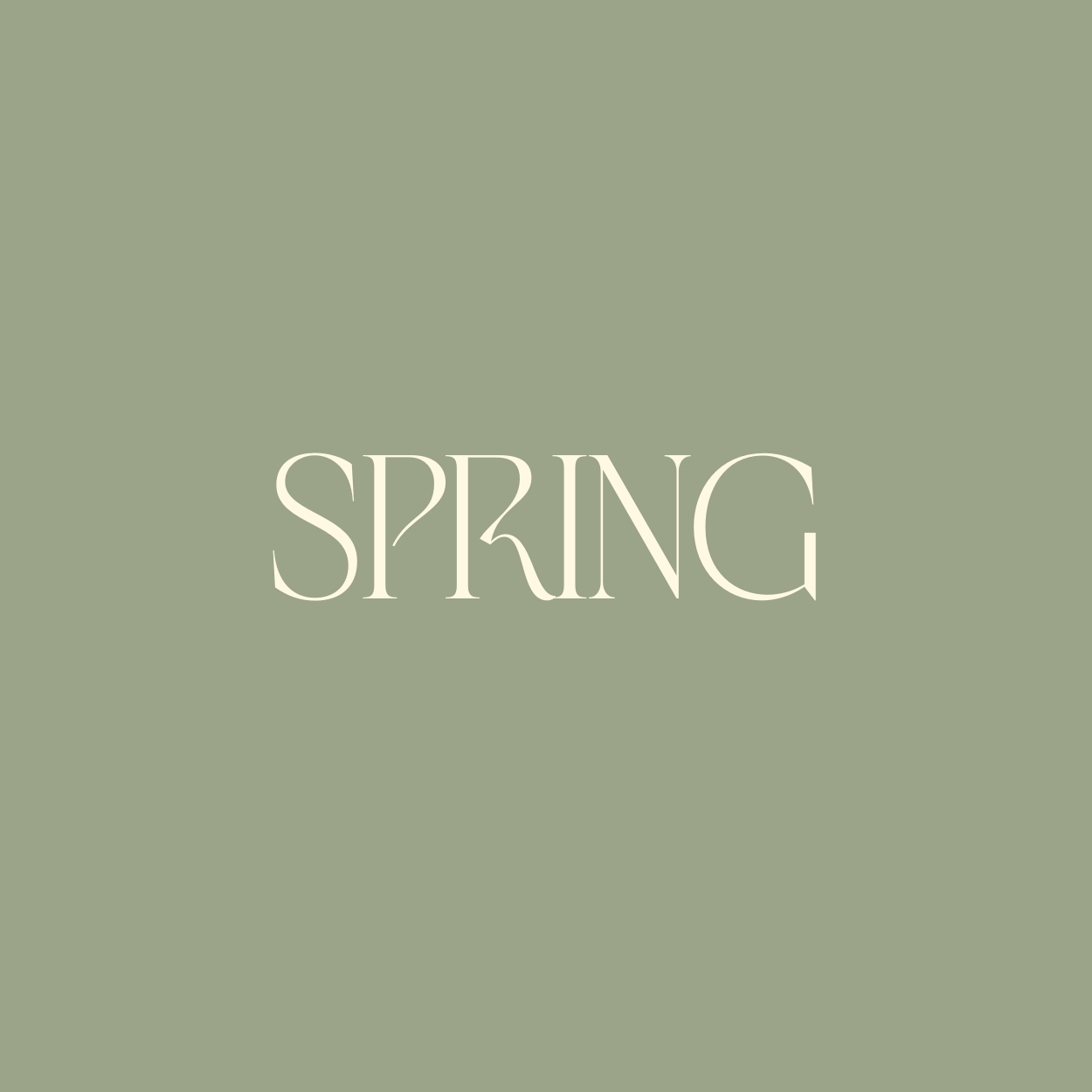 Spring Shirts