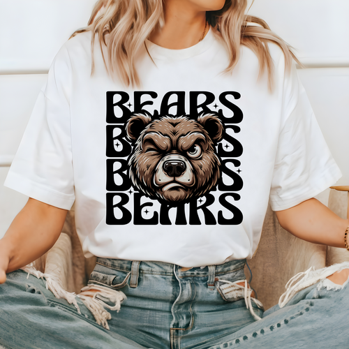 Load image 1 in gallery view. Cartoon Bears Echo