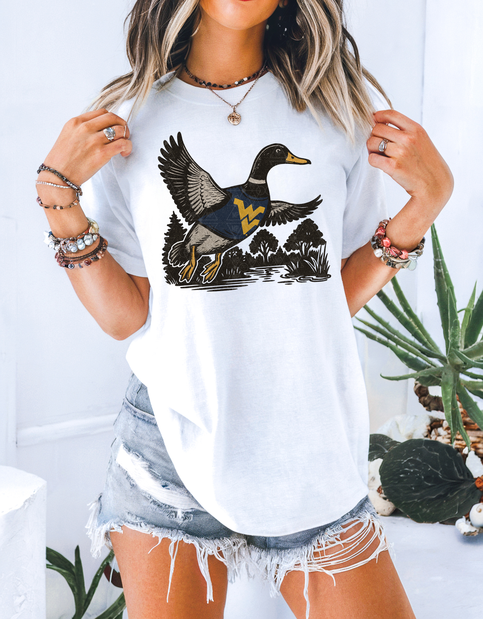 West Virginia Duck Hunt