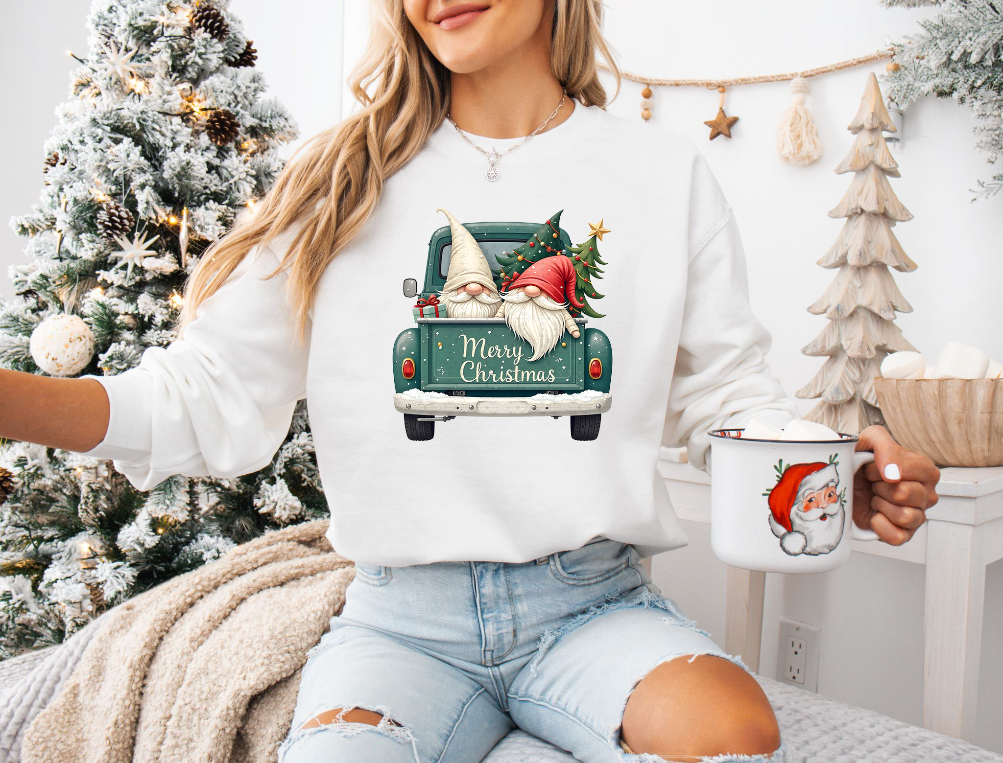 Merry Christmas Gnomes