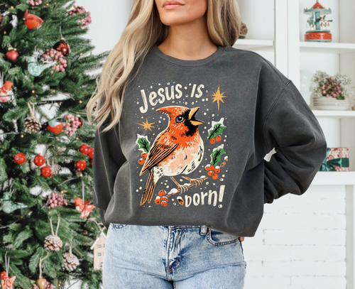 Load image 1 in gallery view. Jesus Is Born ~ Red Cardinal