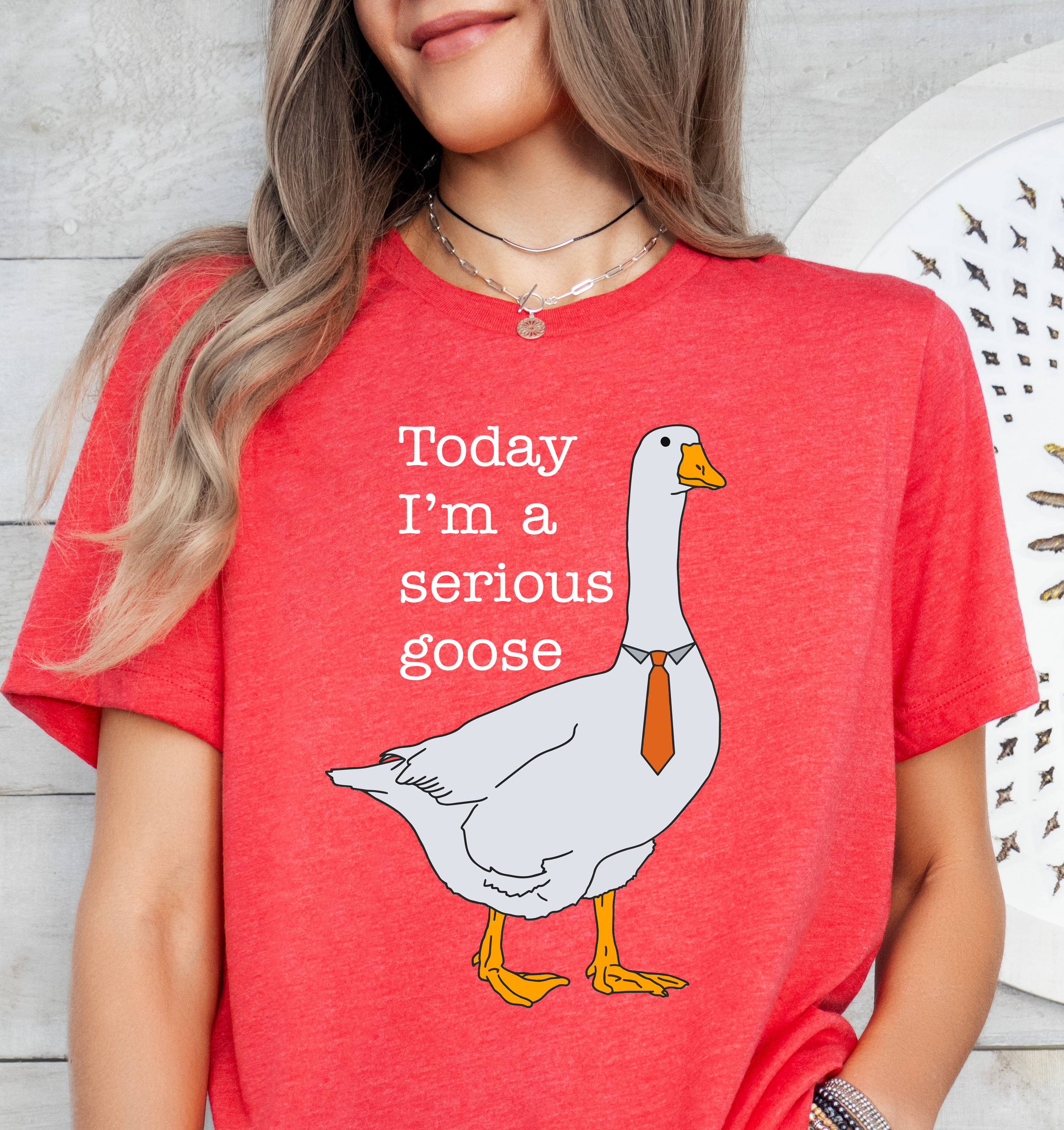 Today I'm A Serious Goose