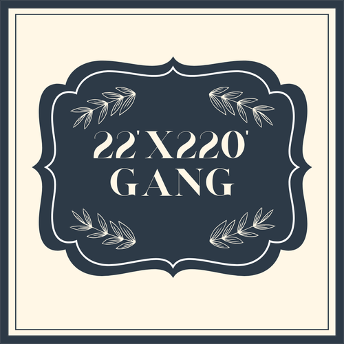 Load image 1 in gallery view. 22" x 220" Build Your Own Gang Sheet