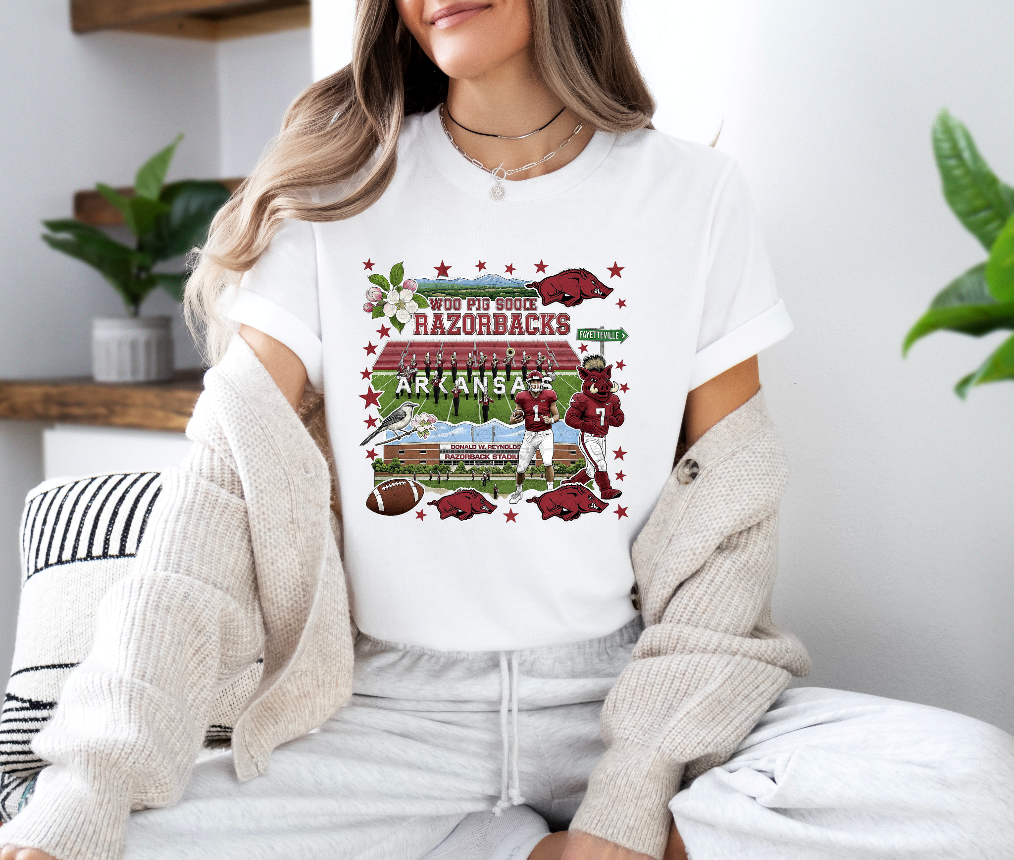 Arkansas Whimsical Collage