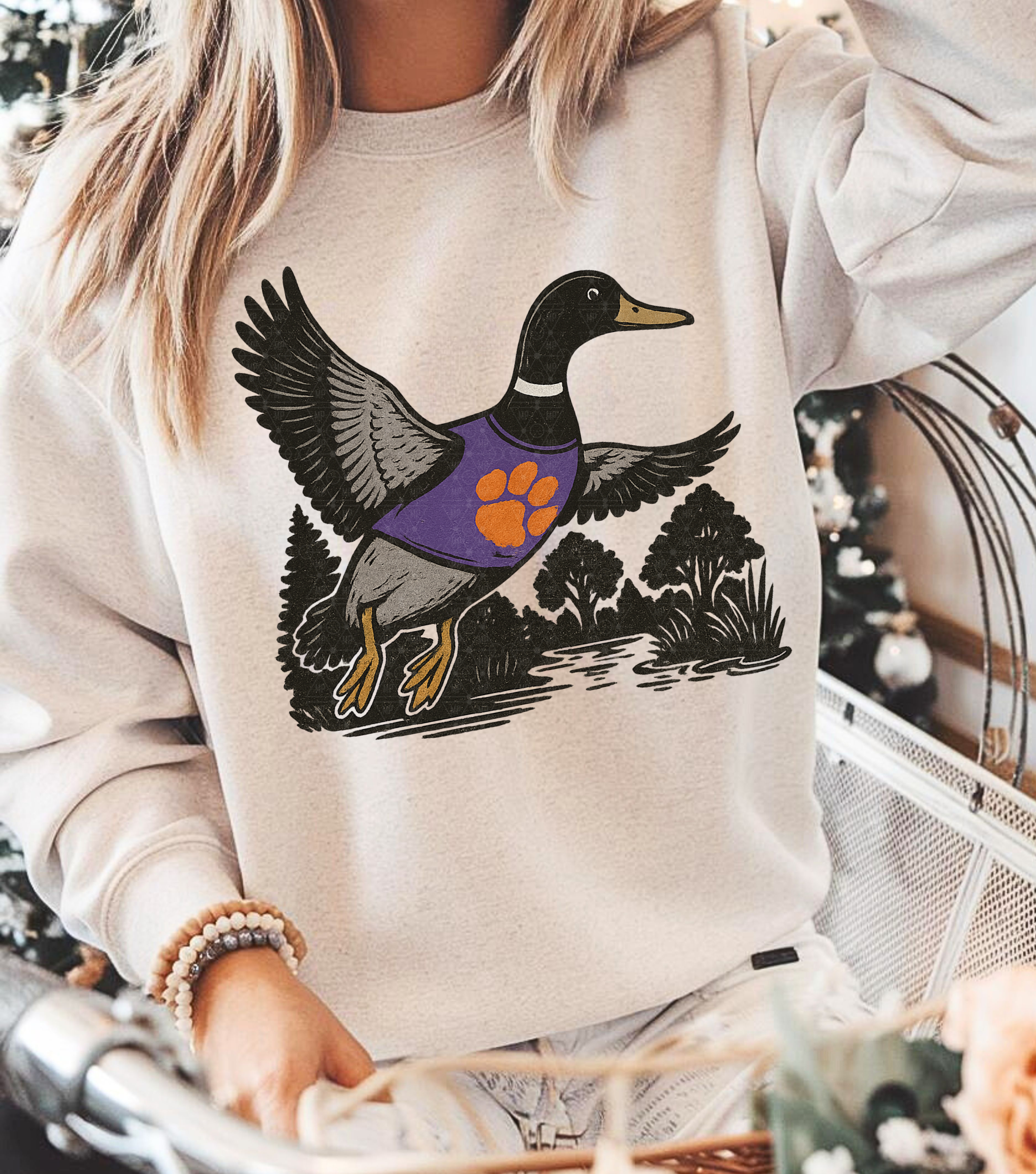 South Carolina Duck Hunt