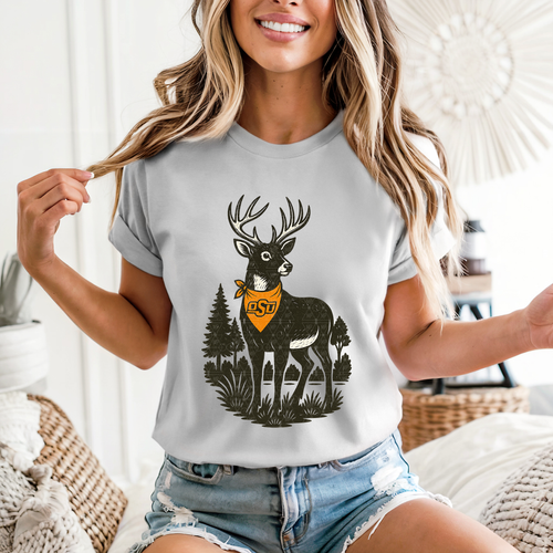 Load image 1 in gallery view. Oklahoma Deer Hunts