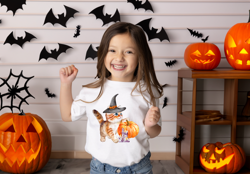Load image 1 in gallery view. Pumpkin Cat