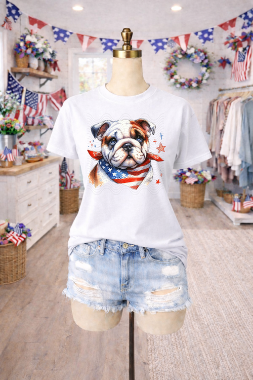 Load image 1 in gallery view. Cute American Bulldog