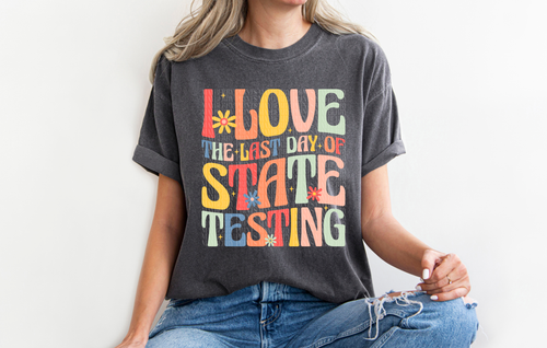 Load image 1 in gallery view. I Love The Day Of State Testing