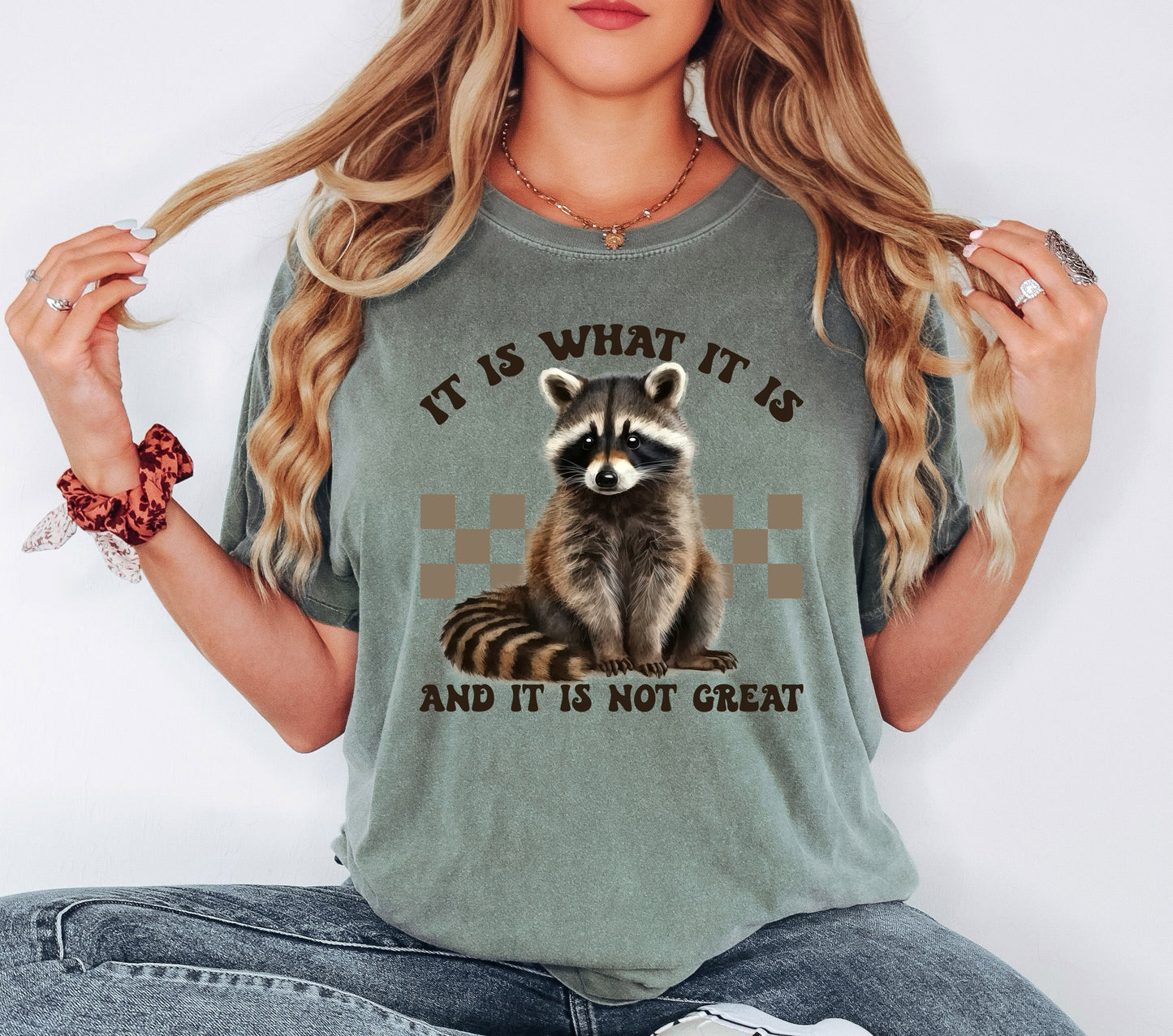 It Is What It Is And It Is Not Great