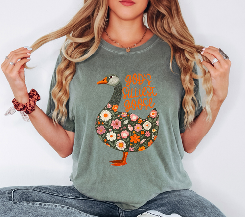 Load image 1 in gallery view. God's Silliest Goose