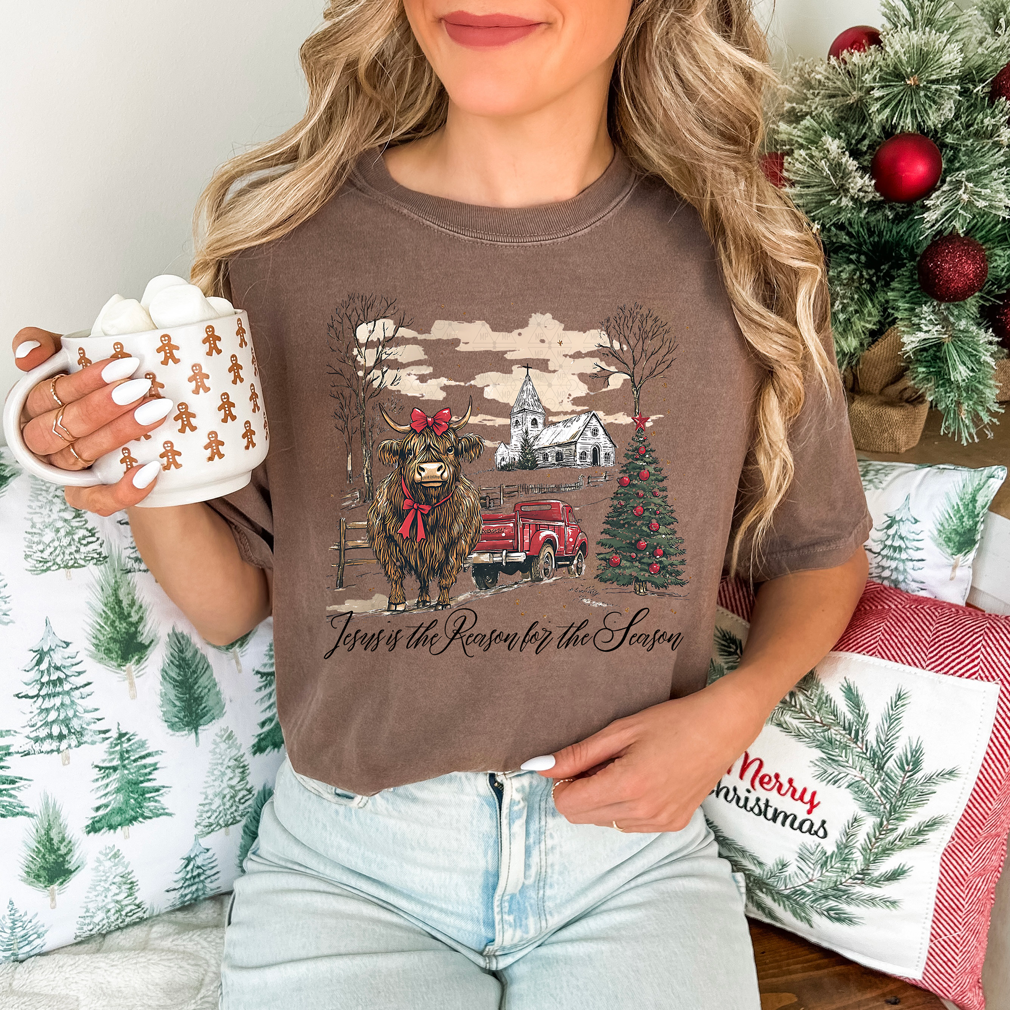 Jesus Is The Reason For The Season