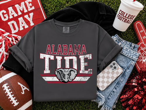 Load image 1 in gallery view. Distressed Classic Mascots