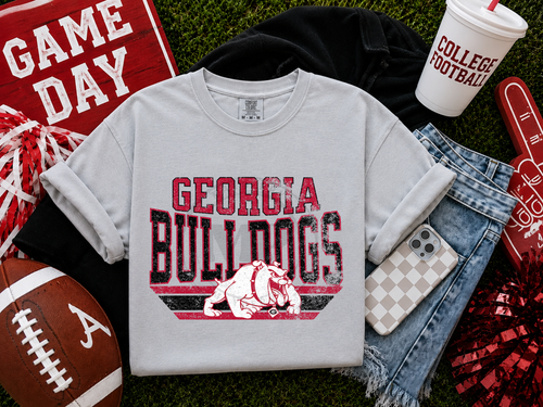 Load image 1 in gallery view. Distressed Classic Mascots