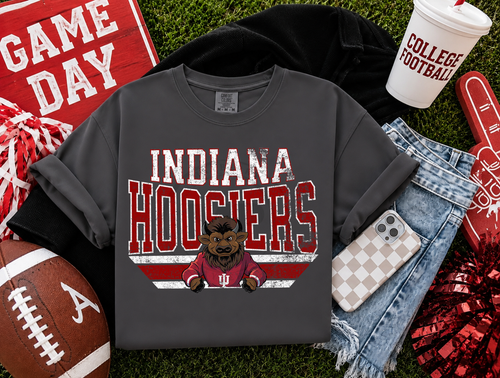 Load image 1 in gallery view. Distressed Classic Mascots