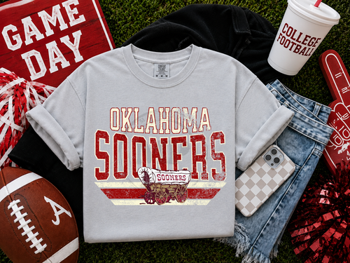 Load image 1 in gallery view. Distressed Classic Mascots