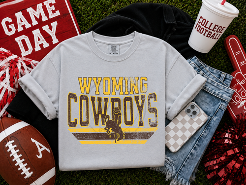 Load image 1 in gallery view. Distressed Classic Mascots