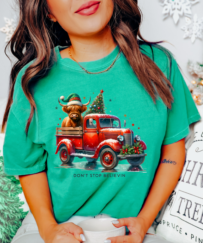 Don't Stop Believing Christmas Truck
