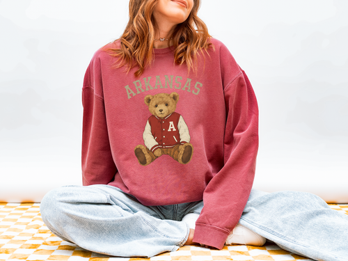 Load image 1 in gallery view. Arkansas Teddy Bear