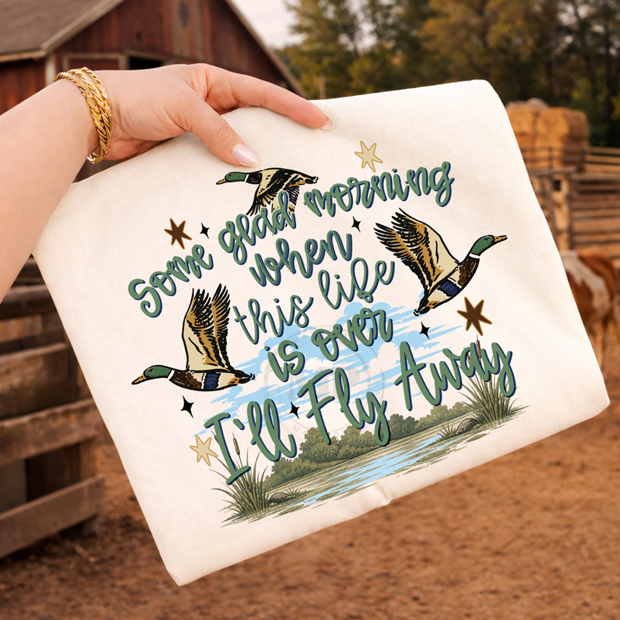 Some Glad Morning When This Life Is Over I'll Fly Away