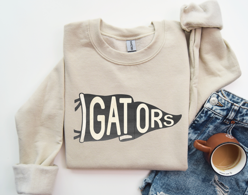 Load image 1 in gallery view. Gators Pennant