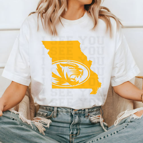 Load image 1 in gallery view. Missouri State