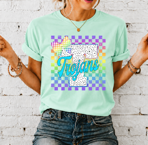 Load image 1 in gallery view. Bright Checkered School Mascot
