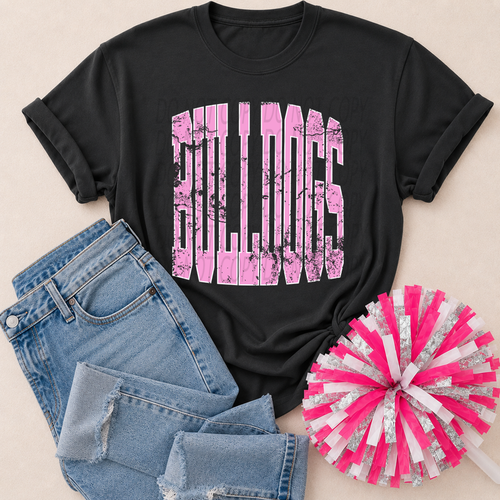 Load image 1 in gallery view. Giant Pink Distressed Mascots