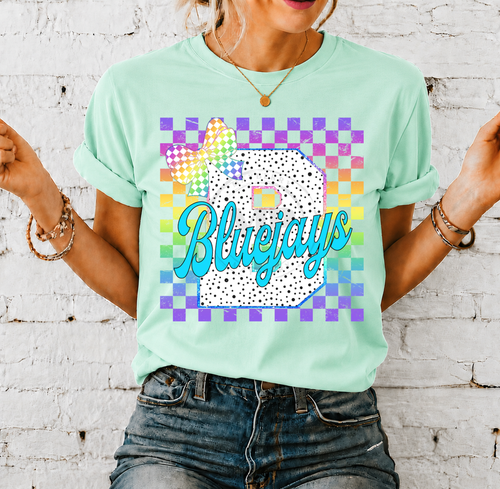 Load image 1 in gallery view. Bright Checkered School Mascot