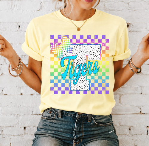 Load image 1 in gallery view. Bright Checkered School Mascot