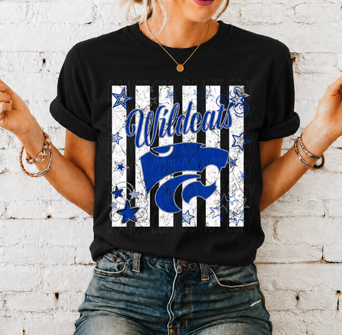 Load image 1 in gallery view. Mascot with Stripes