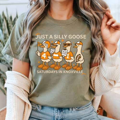 Load image 1 in gallery view. Just A Silly Goose Knoxville
