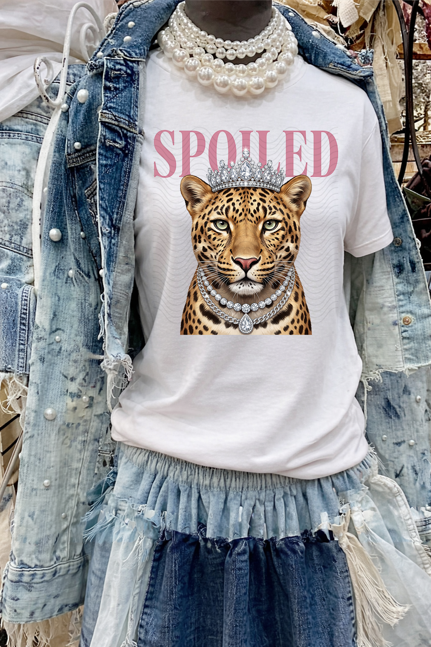 Spoiled Cheetah