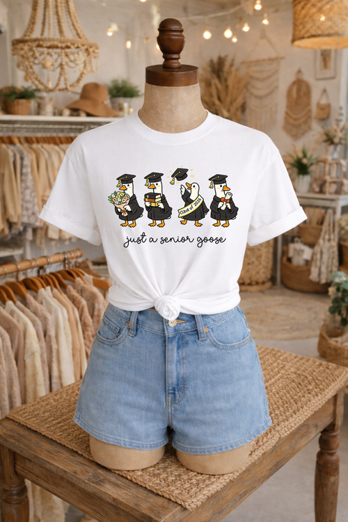 Load image 1 in gallery view. Just A Senior Goose