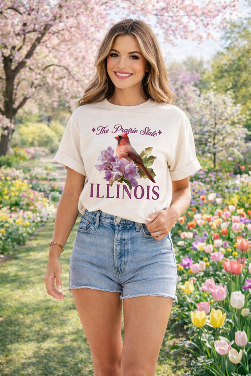Load image 1 in gallery view. Spring Illinois