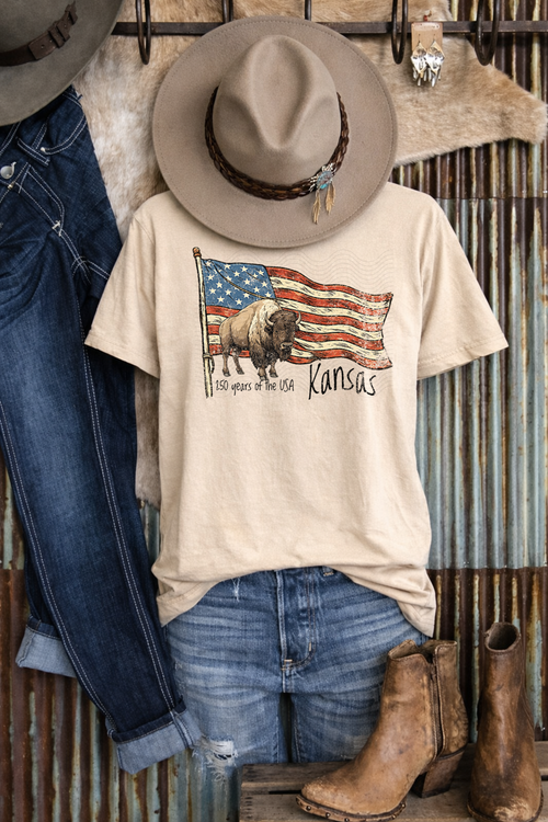 Load image 1 in gallery view. 250 Years Of The USA Kansas