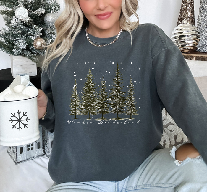 Snowy Winter Wonderland
