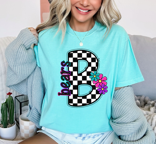 Load image 1 in gallery view. Checkered B Bears