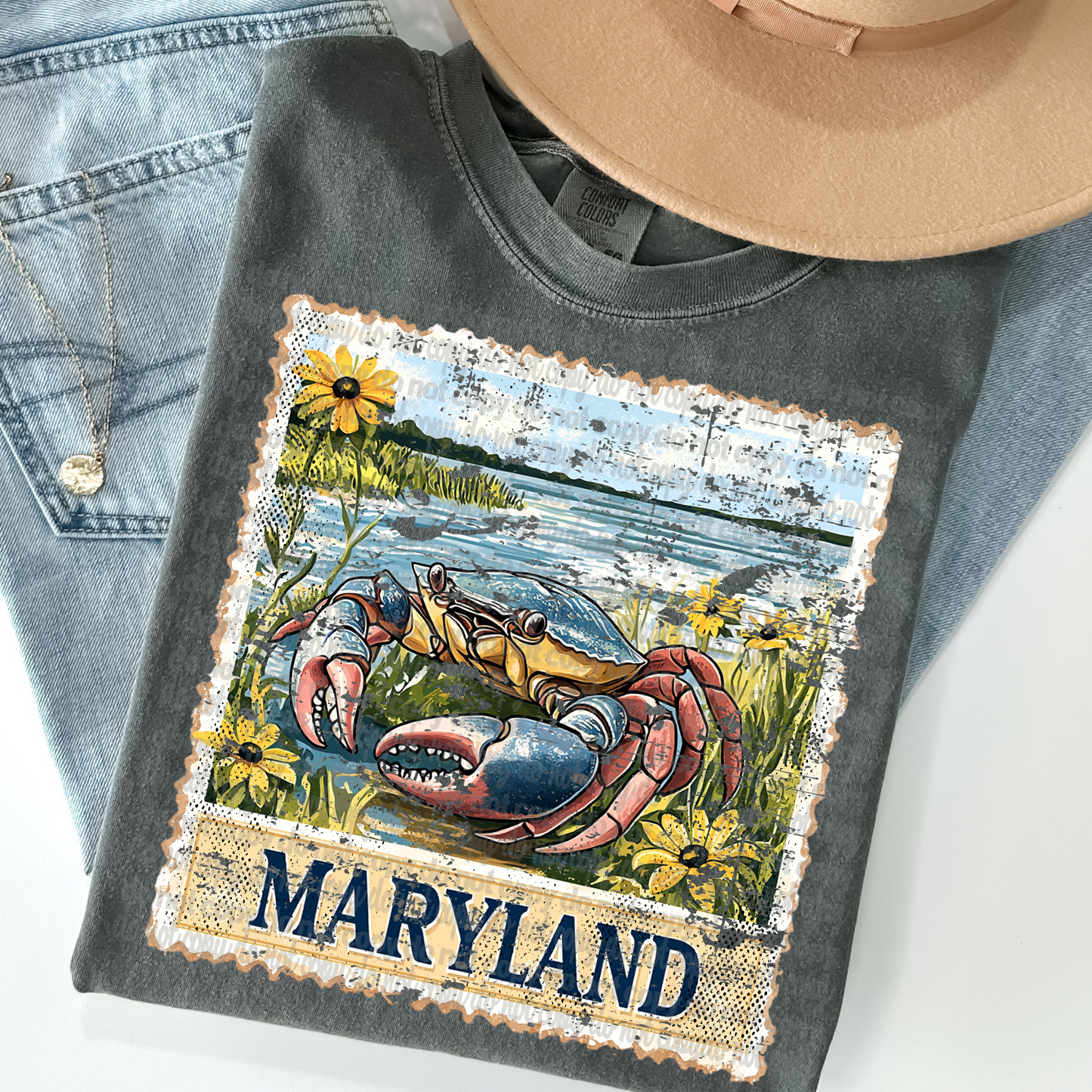 Vintage Stamp Maryland