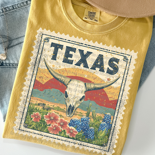 Load image 1 in gallery view. Vintage Stamp Texas